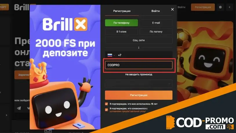 Личный кабинет и касса Brillx